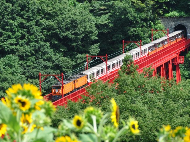 黒部峡谷鉄道　トロッコ電車