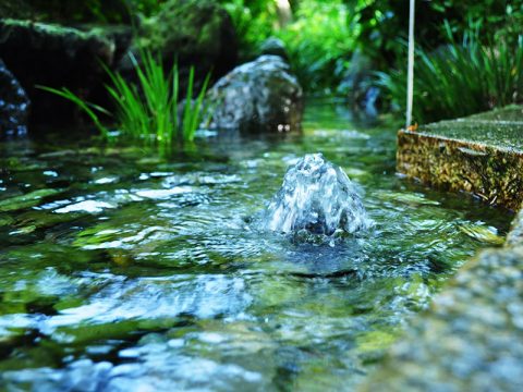 生地の清水（しょうず）