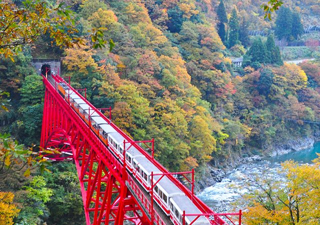 秋の黒部峡谷　トロッコ電車