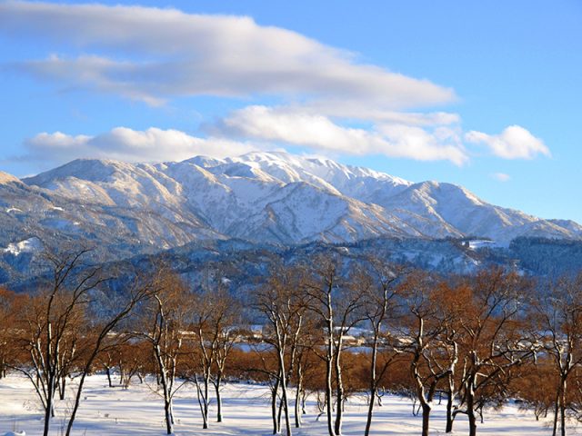 雪の立山