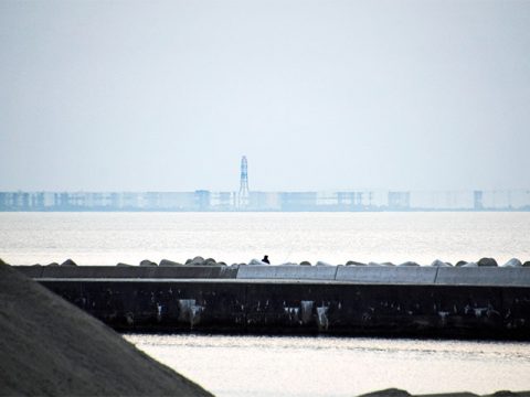 魚津から見える蜃気楼