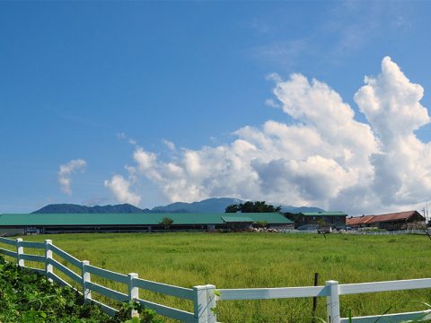 くろべ牧場まきばの風