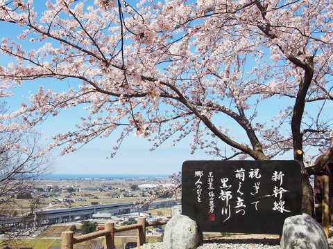 宮野運動公園から見る黒部