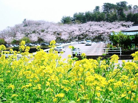 宮野運動公園　駐車場