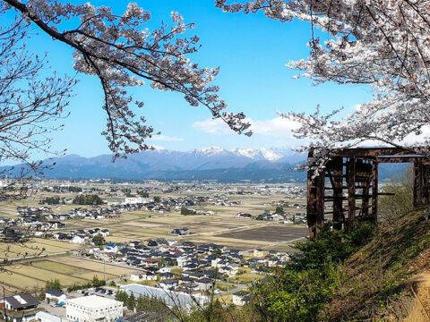 春のにいかわ地区