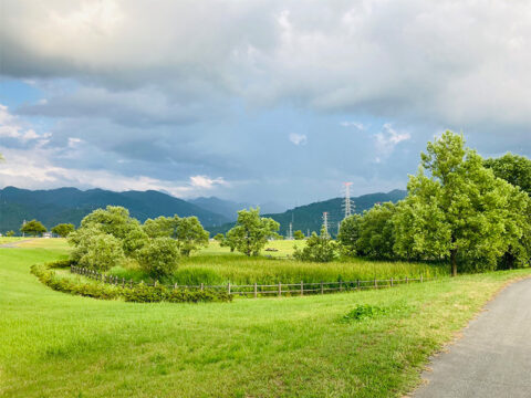 東山水辺公園