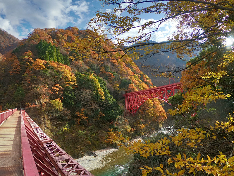 富山県東部のにいかわで紅葉を巡る旅へ | 投稿 | にいかわどっとこい