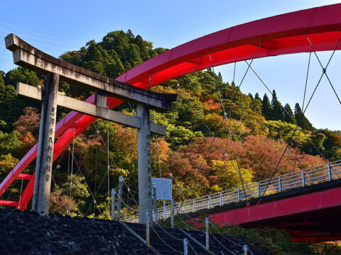 愛本橋の紅葉