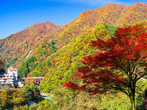 宇奈月温泉　紅葉