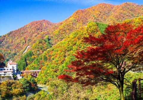 宇奈月温泉の紅葉